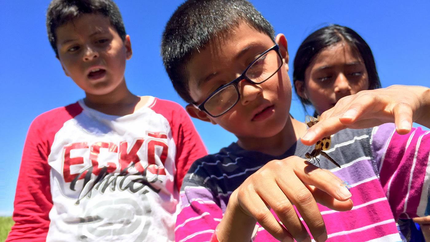 East Side Water Watch students holding a dragonfly.