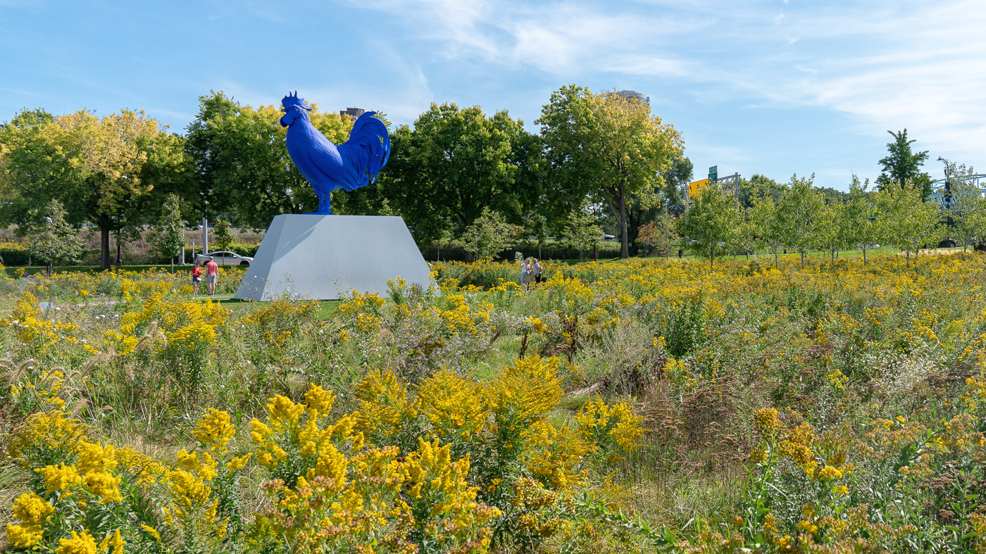 A field of yellow flowers blooming at the Minneapolis Sculpture Garden.