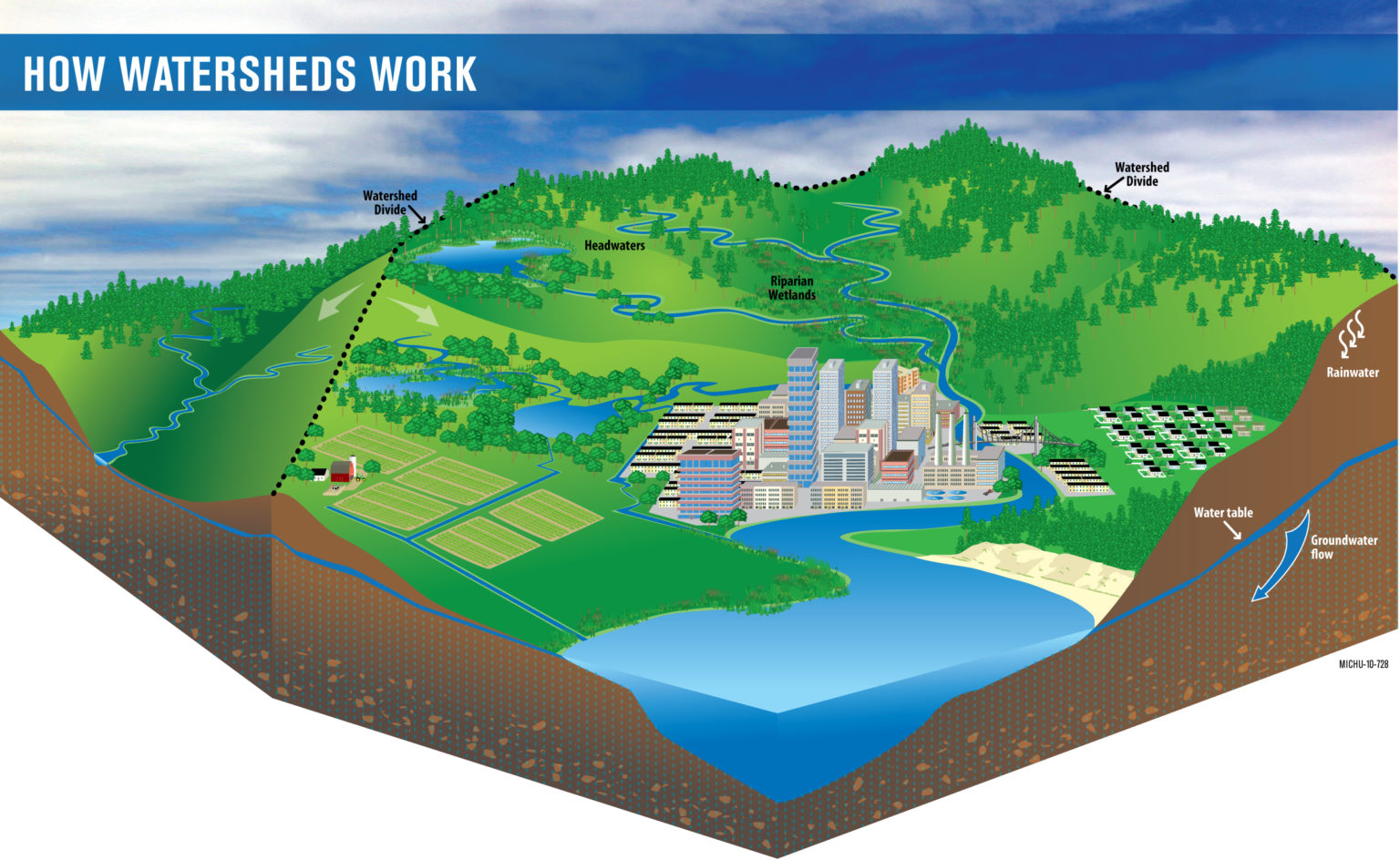 How a Watershed Works MWMO