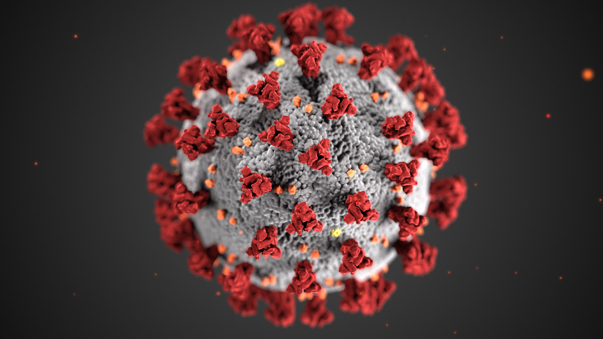 Computer-generated image of a coronavirus.