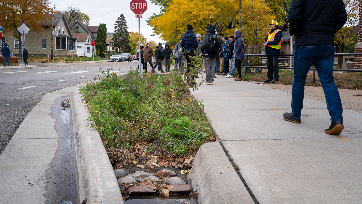 Low-angle photo of a pedestrian walking by a boulevard swale at Edison High School.